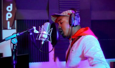 Sasso – Kiwi (RP House #1)